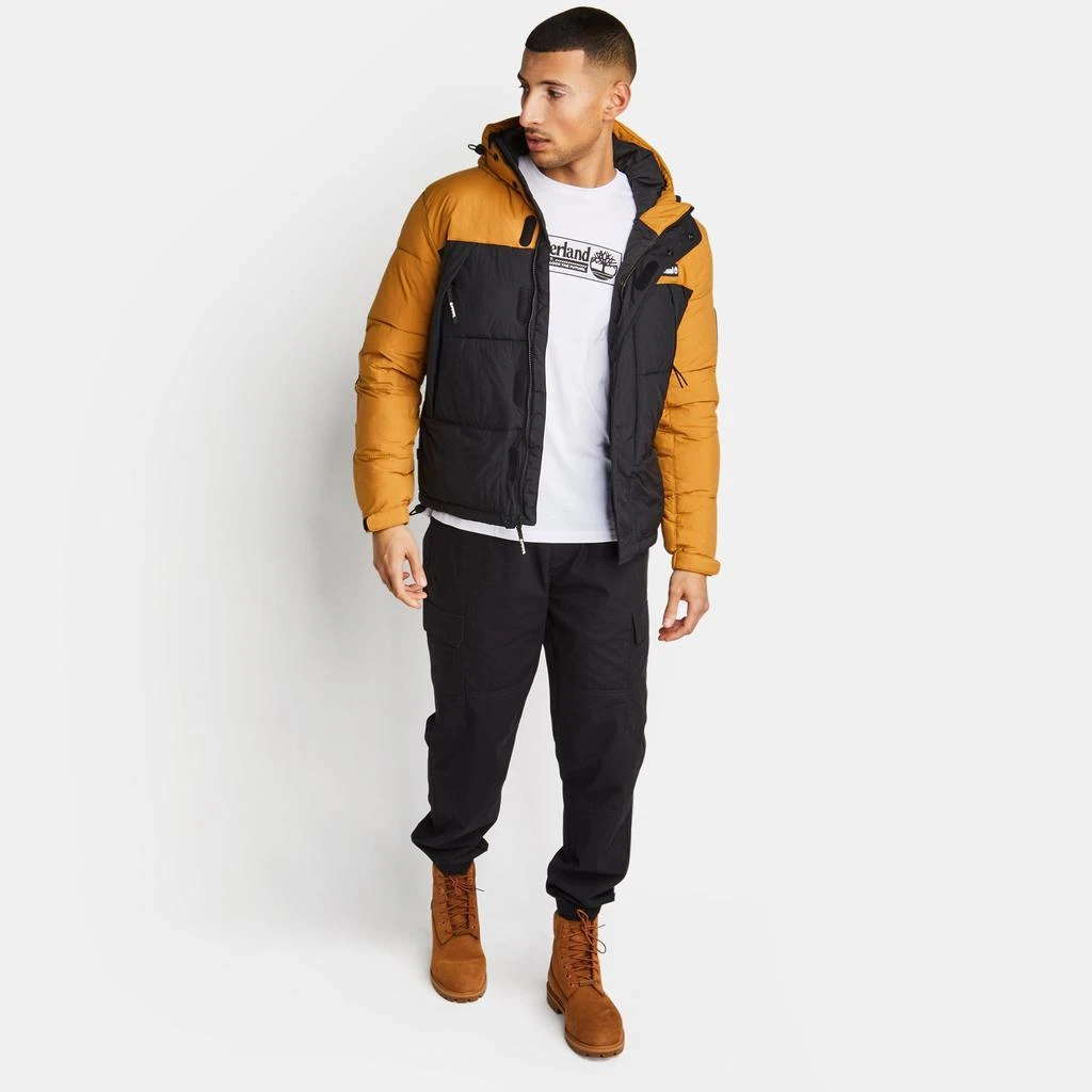 商品Timberland|Timberland Dwr - Men Jackets,价格¥623,第2张图片详细描述