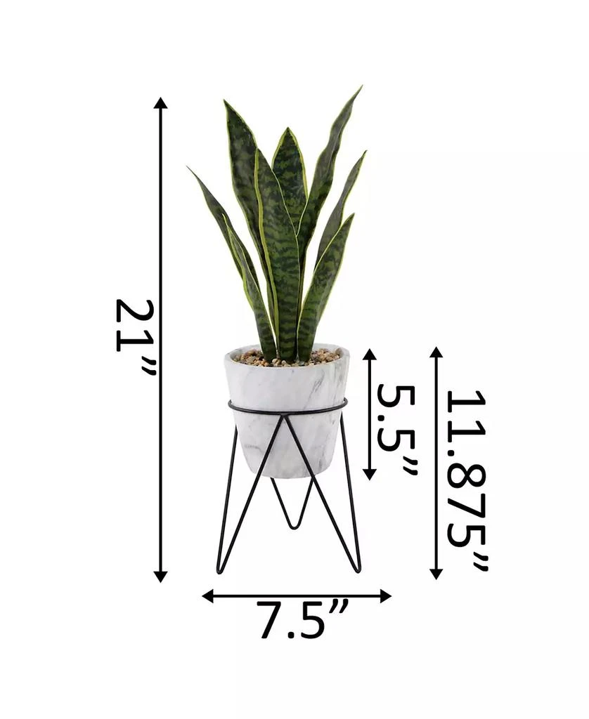 商品Flora Bunda|21" Snake Plant in Marble on Metal Stand,价格¥456,第2张图片详细描述