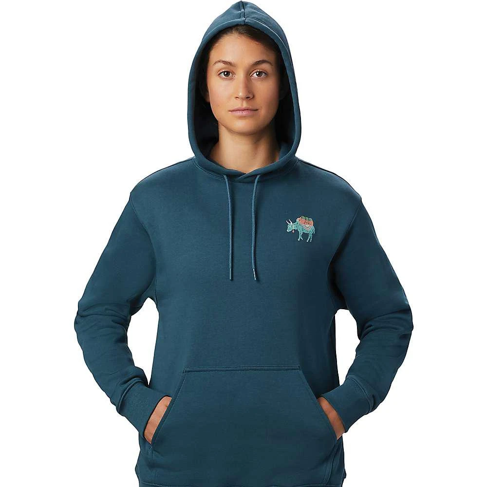 商品Mountain Hardwear|Women's Hotel Basecamp Pullover Hoody,价格¥231,第4张图片详细描述