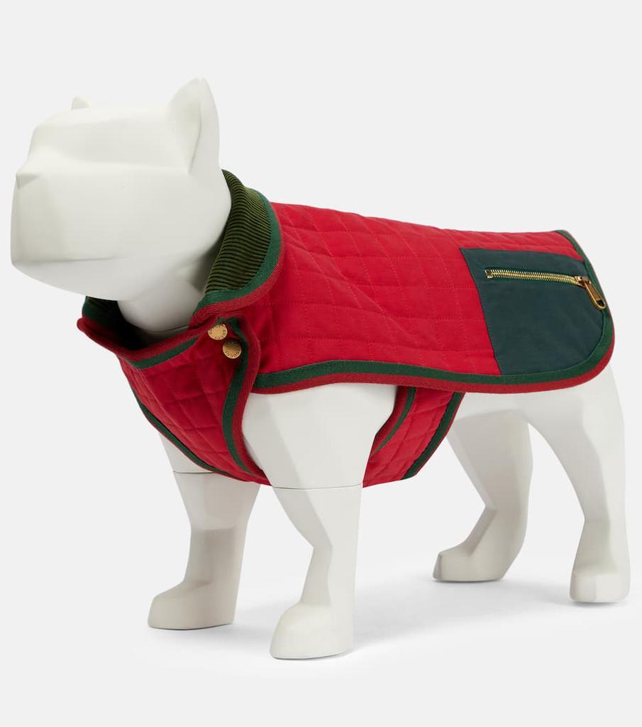 商品Gucci|Exclusive to Mytheresa – Quilted drill dog coat,价格¥4836,第5张图片详细描述