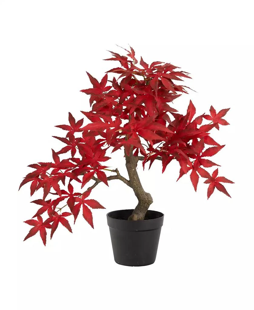 商品NEARLY NATURAL|Autumn Maple Bonsai, 20",价格¥618,第1张图片