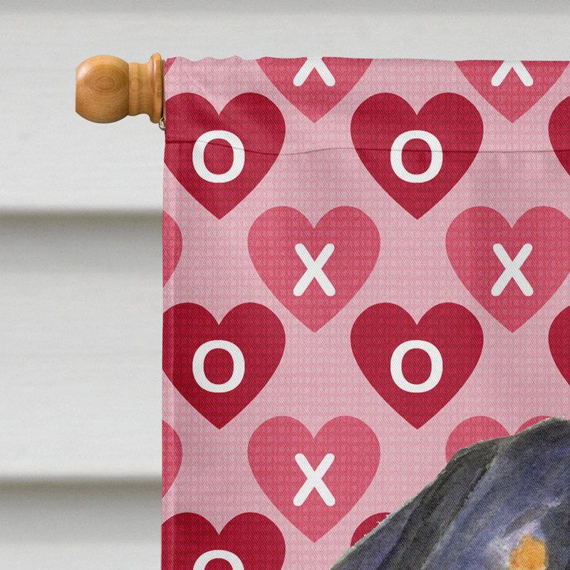 商品Caroline's Treasures|28 x 40 in. Polyester Rottweiler Hearts Love and Valentine's Day Portrait Flag Canvas House Size 2-Sided Heavyweight,价格¥325,第2张图片详细描述
