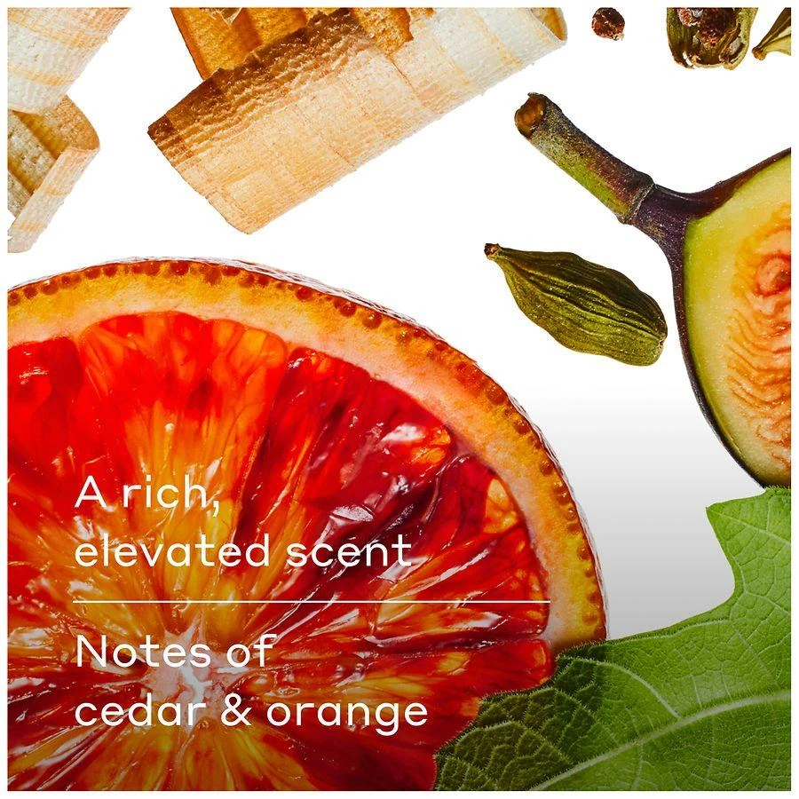 商品Harry's|Body Wash Fig - Cedar & Orange,价格¥59,第5张图片详细描述