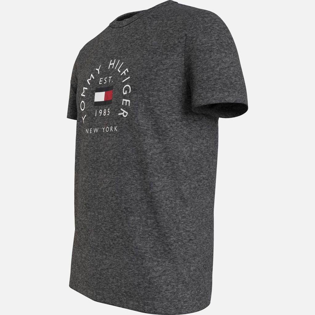 Tommy Hilfiger Flag Arch Cotton T-Shirt商品第2张图片规格展示