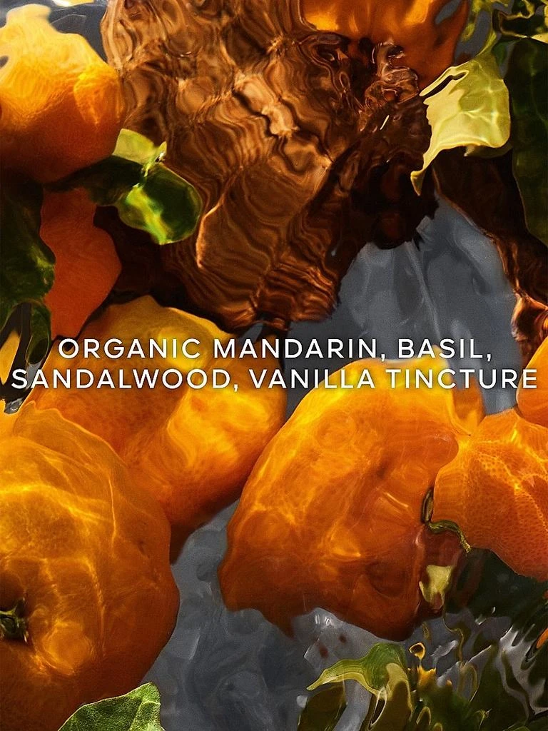 Aqua Allegoria Forte Mandarine Basilic Eau De Parfum 商品
