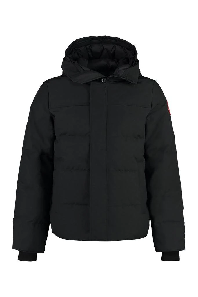 商品Canada Goose|Canada Goose Macmillan Hooded Parka,价格¥7137-¥9043,第1张图片