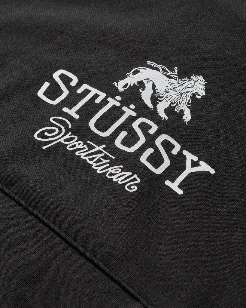 商品STUSSY|Sportswear Hoodie Black,价格¥1078,第3张图片详细描述