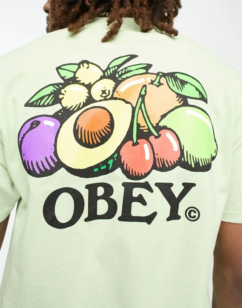 商品Obey|Obey bowl of fruit backprint t-shirt in green,价格¥141,第3张图片详细描述