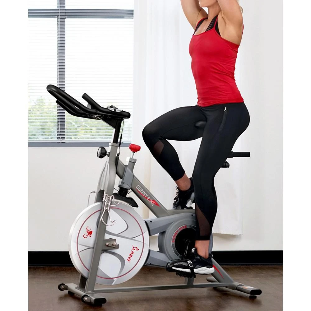 Synergy Magnetic Indoor Cycling Bike, Sf-B1879 商品