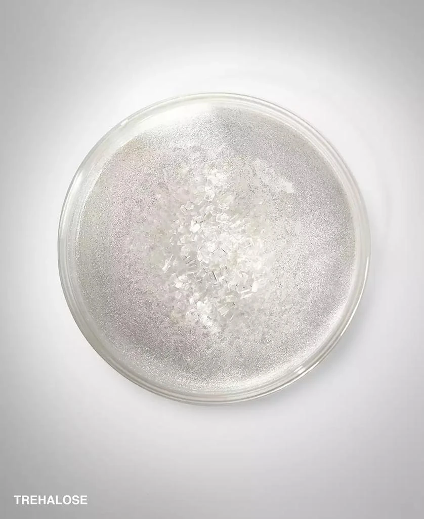 商品Bobbi Brown|保湿滋润面霜（干皮打底·高度保湿） 50ml,价格¥435,第4张图片详细描述