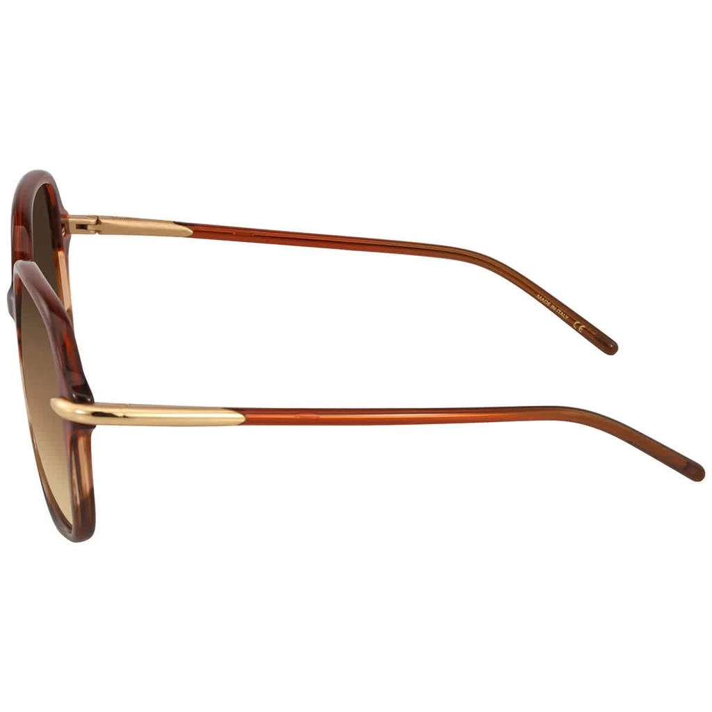 商品Pomellato|Pomellato Brown Square Ladies Sunglasses PM0035S 002 56,价格¥532,第3张图片详细描述