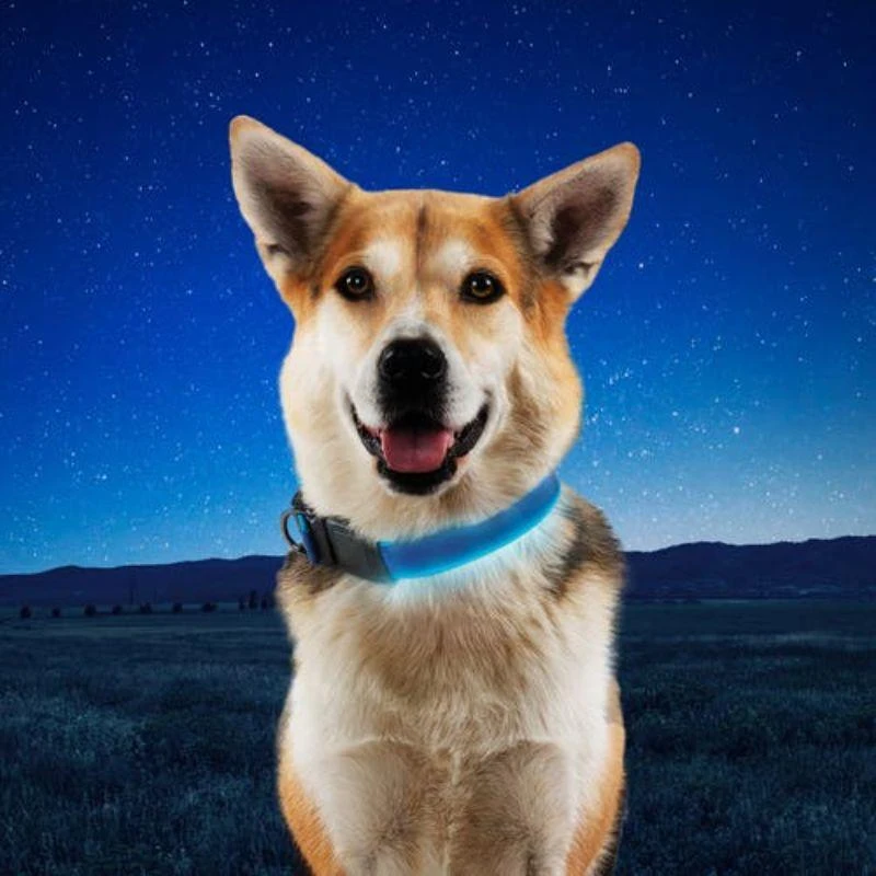 NITE IZE - NITE DOG RHRG LED COLLAR - MEDIUM - Lime 商品