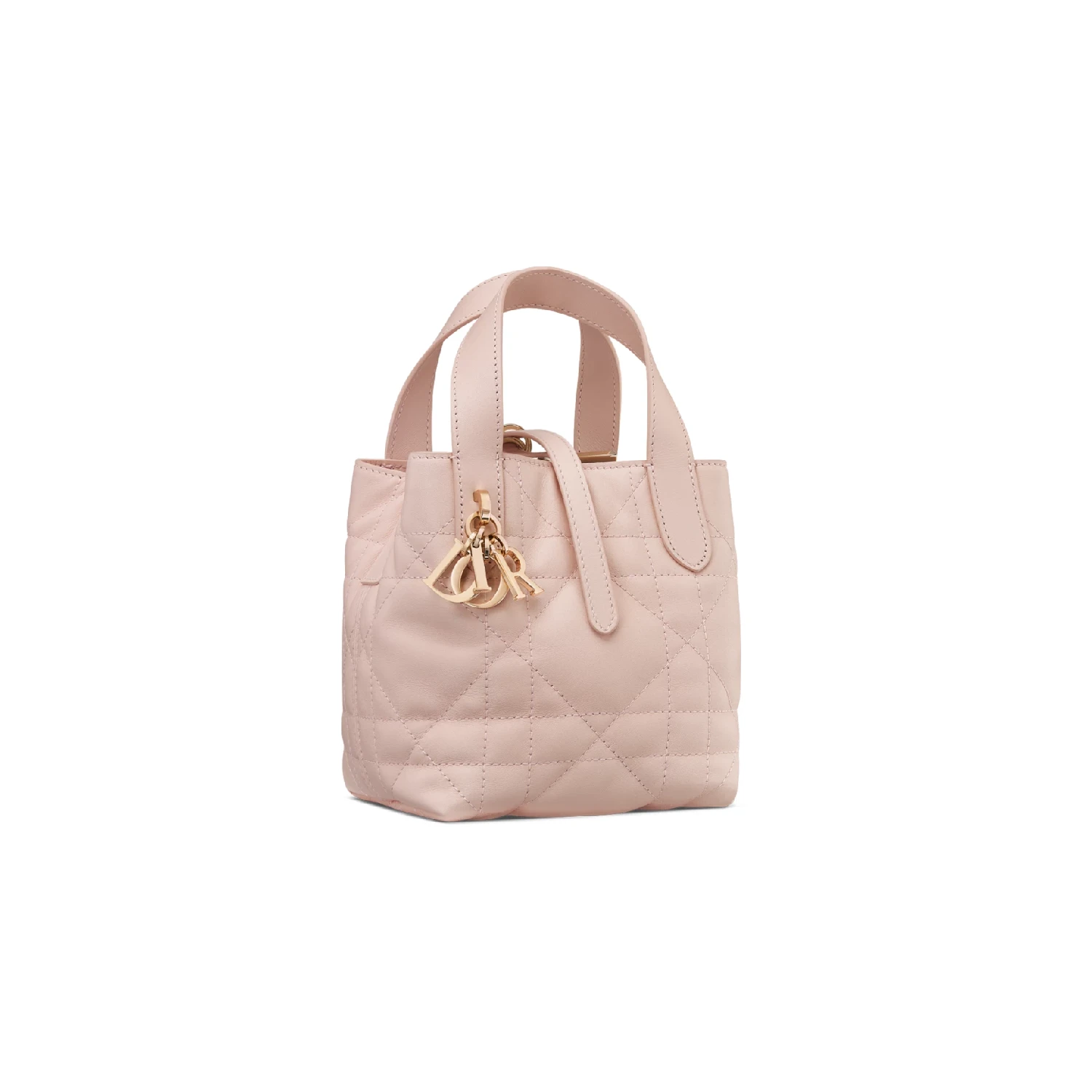 【预售】 迪奥 25春夏 女士 手提包 微型 Dior Toujours 竖版手袋 S6100OSNW_M413  商品