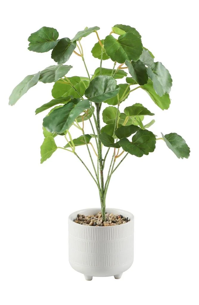商品FLORA BUNDA|17.5" Pilea Faux Plant,价格¥592,第1张图片