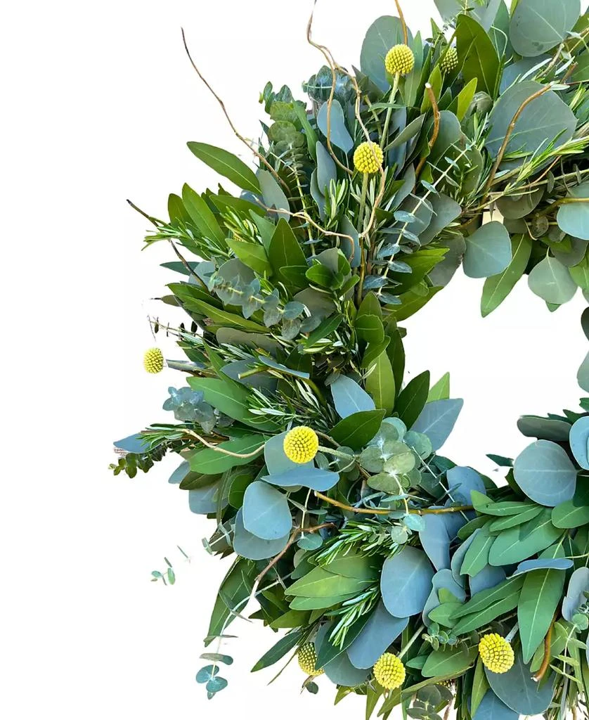 商品GreenishBlu|Bayleaf, Baby Blue Eucalyptus, Rosemary, Curly Willow and Yellow Billy Balls Real Aromatic Wreath, 22",价格¥733,第2张图片详细描述
