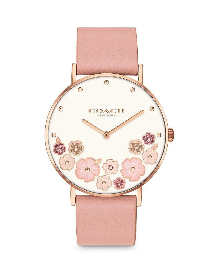 商品Coach|Perry Tea Rose Watch, 36mm,价格¥987,第1张图片