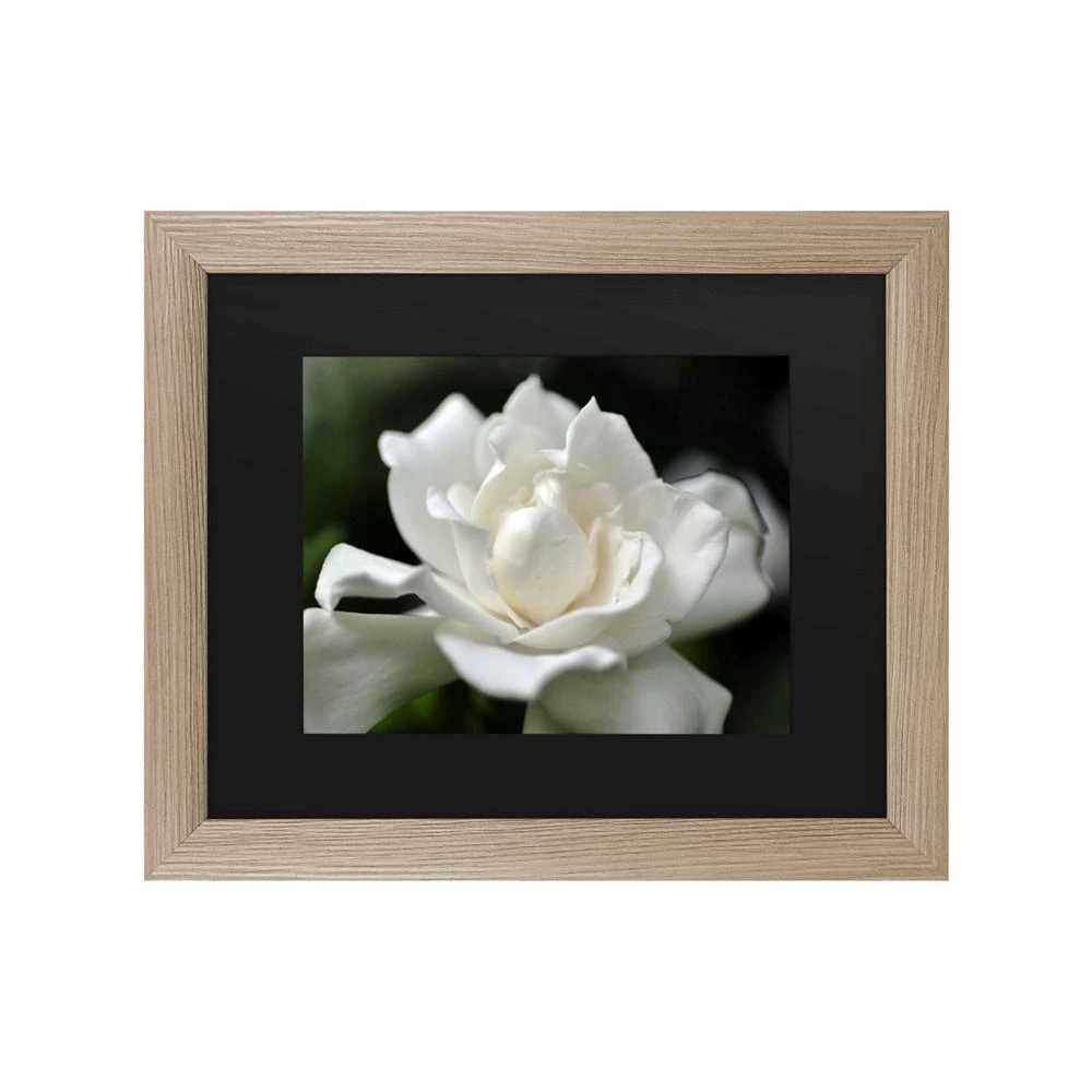 商品Trademark Global|Kurt Shaffer Lovely Gardenia Matted Framed Art - 27" x 33",价格¥449,第1张图片