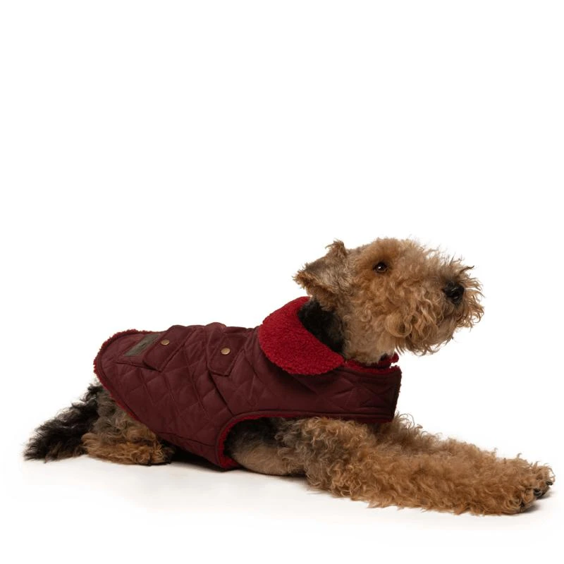 商品fabdog|Burgundy Quilted Shearling Coat,价格¥220,第2张图片详细描述