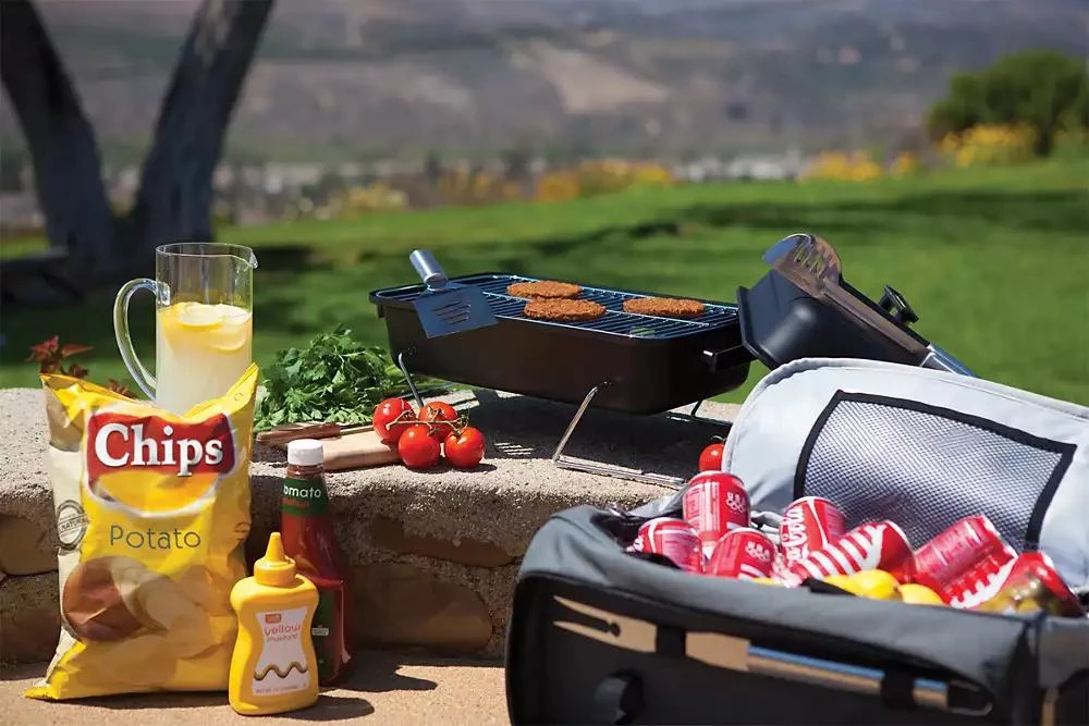 Oniva® by Buccaneer Portable Charcoal Grill & Cooler Tote 商品