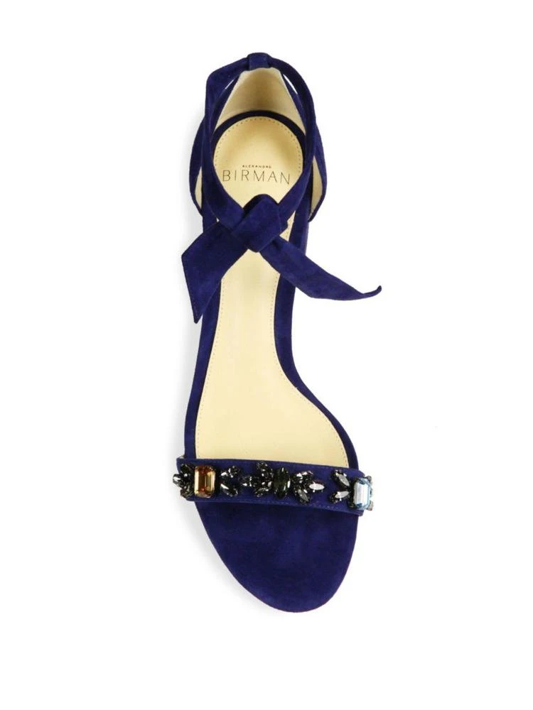 商品Alexandre Birman|Clarita Jeweled Suede Block Heel Sandals,价格¥2063,第4张图片详细描述