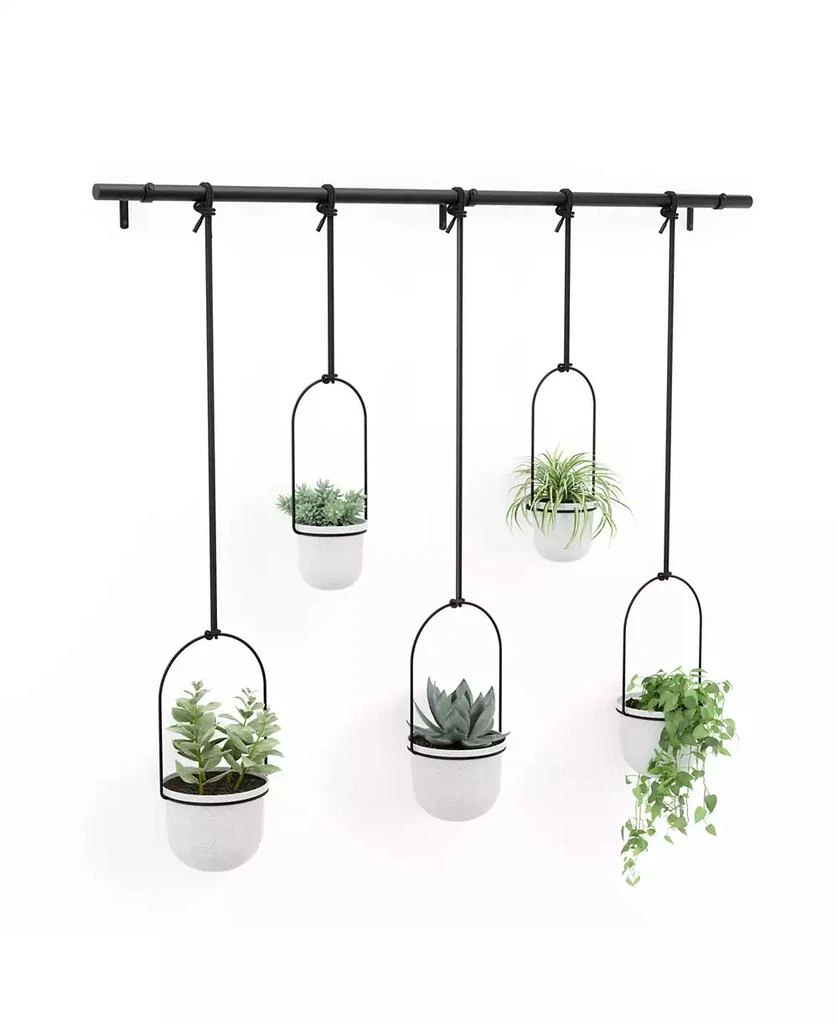 商品Umbra|Triflora Hanging Planter, Set of 5,价格¥1000,第5张图片详细描述