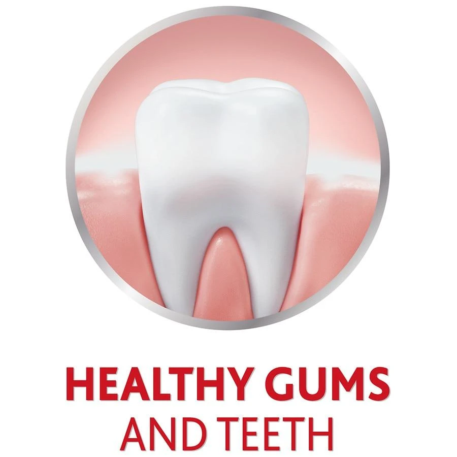 Anticavity Antigingivitis Gum Toothpaste 商品