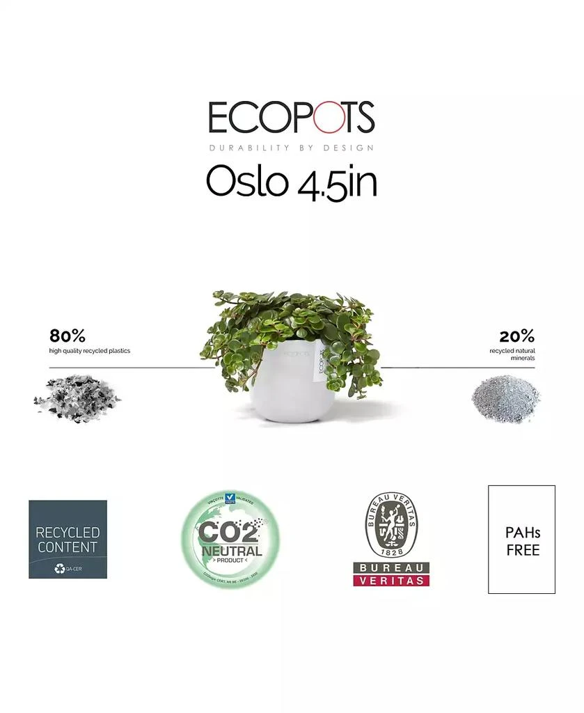 商品ECOPOTS|Oslo Durable Indoor and Outdoor Planter, 4.5in,价格¥91,第3张图片详细描述