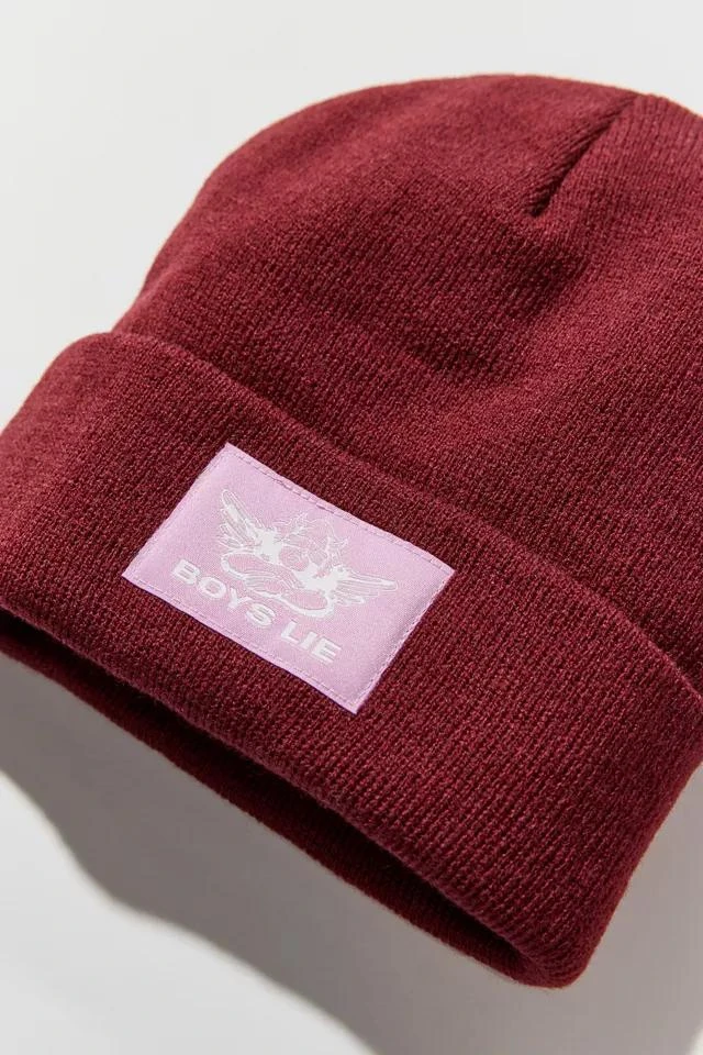 商品Boys Lie|Boys Lie Cozy Beanie,价格¥75,第3张图片详细描述