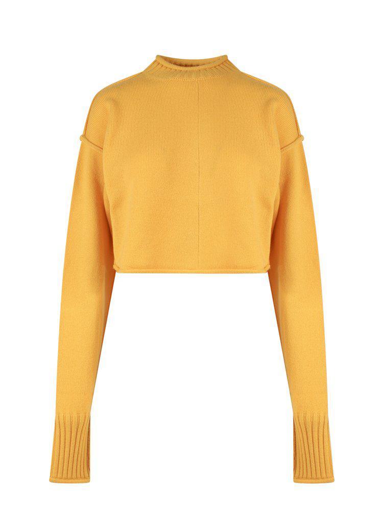 商品Max Mara|Sportmax Crewneck Long-Sleeved Jumper,价格¥2266,第1张图片