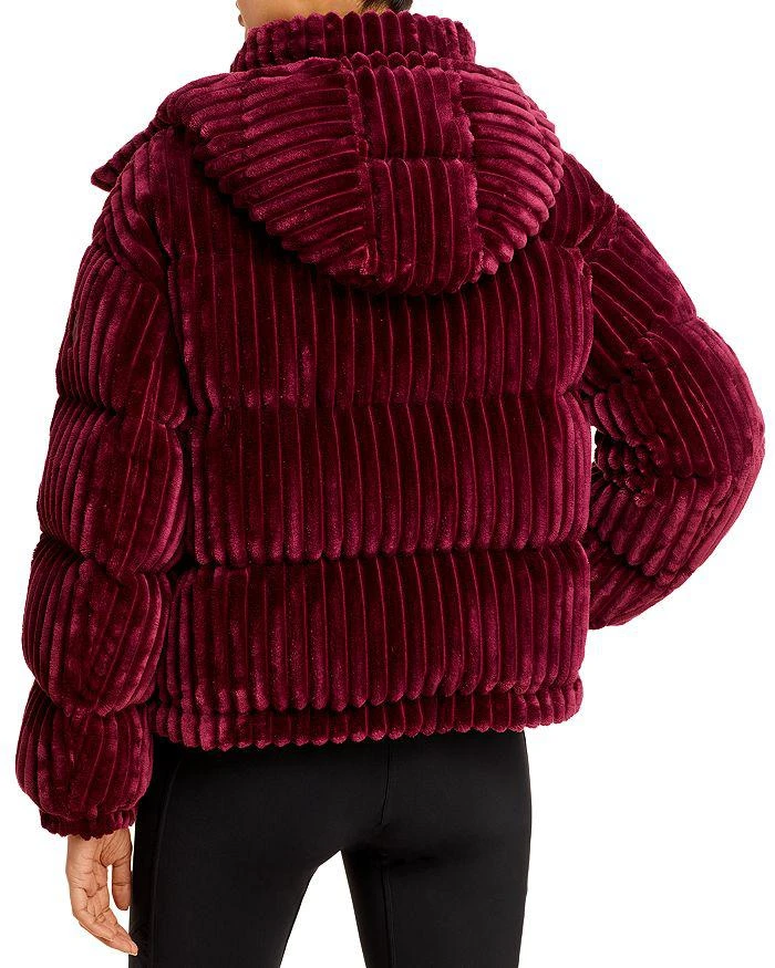 商品Moncler|Daos Short Puffer Jacket,价格¥9788,第2张图片详细描述
