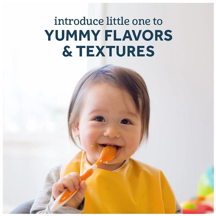 2nd Foods Baby Food Apple Strawberry Banana 商品