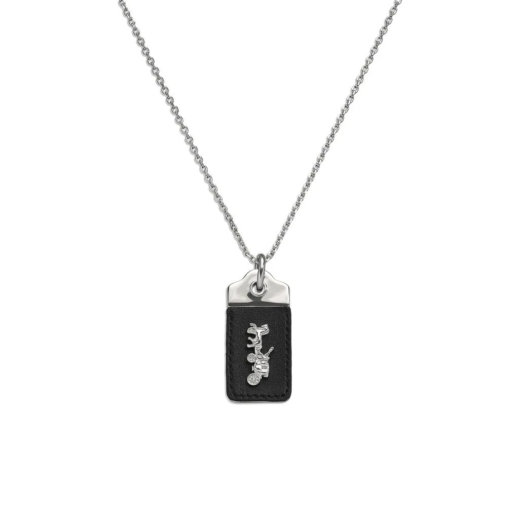 商品Coach|Signature Leather Tag Pendant Necklace,价格¥895,第1张图片