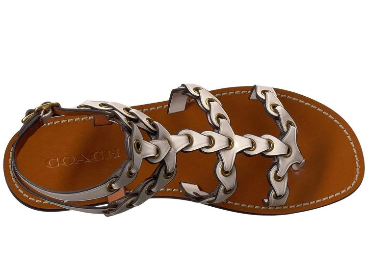 商品Coach|Gladiator Strap Sandal,价格¥1153,第2张图片详细描述