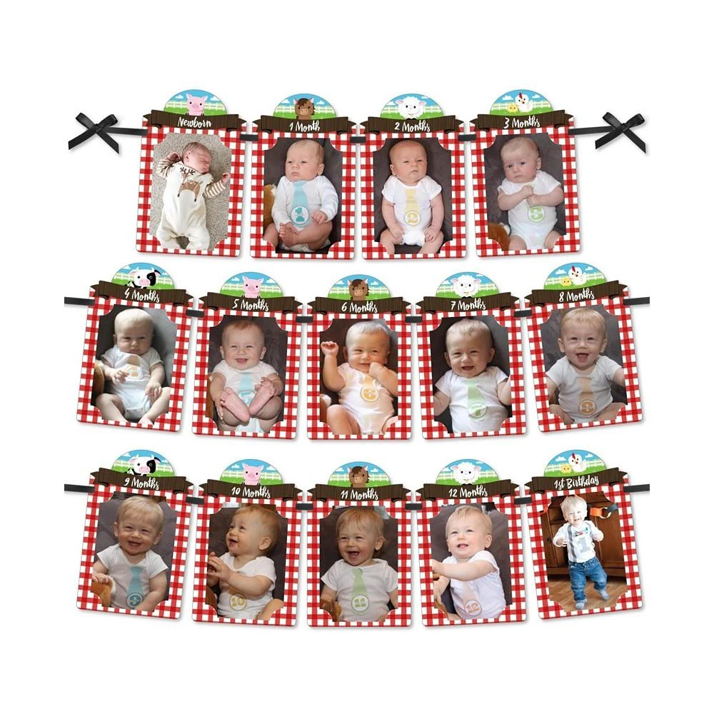 商品Big Dot of Happiness|1st Birthday Farm Animals - DIY Party Decor Monthly Picture Display Photo Banner,价格¥119,第1张图片