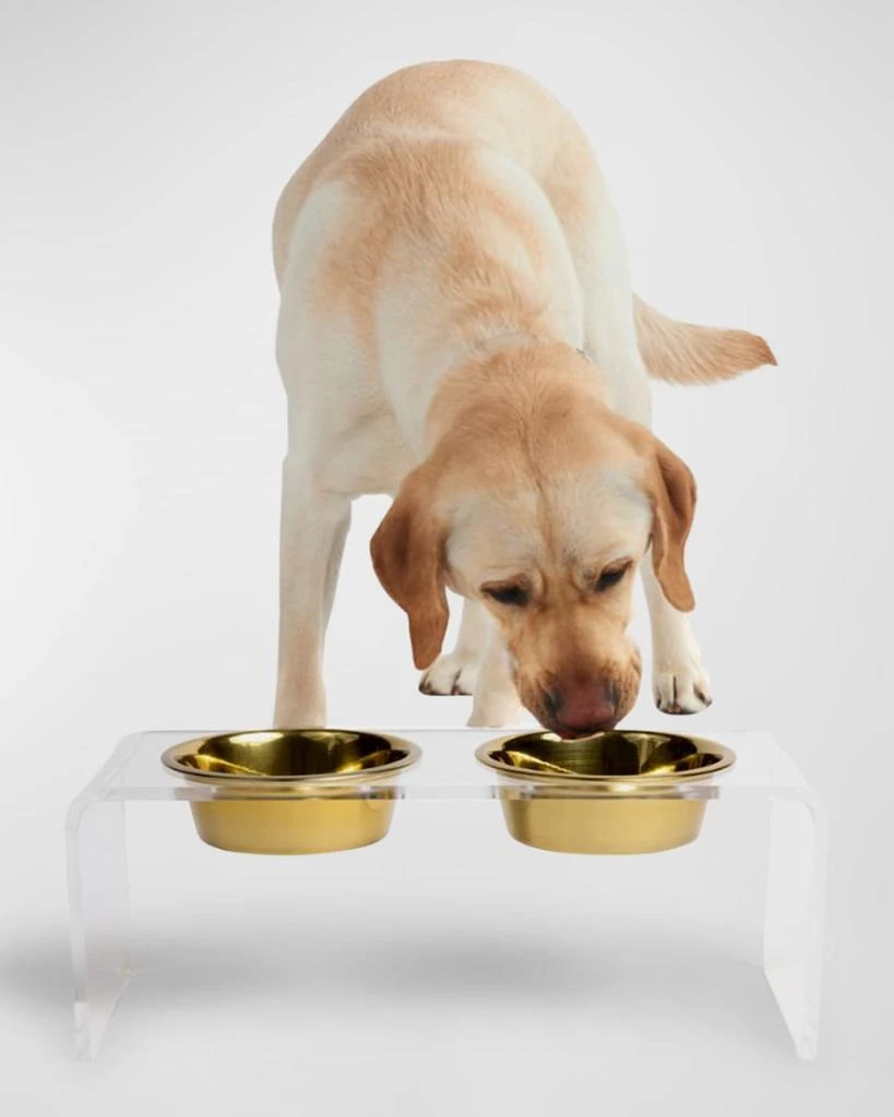 商品HIDDIN|Medium Clear Double Bowl Pet Feeder, 2 Quart,价格¥874,第3张图片详细描述