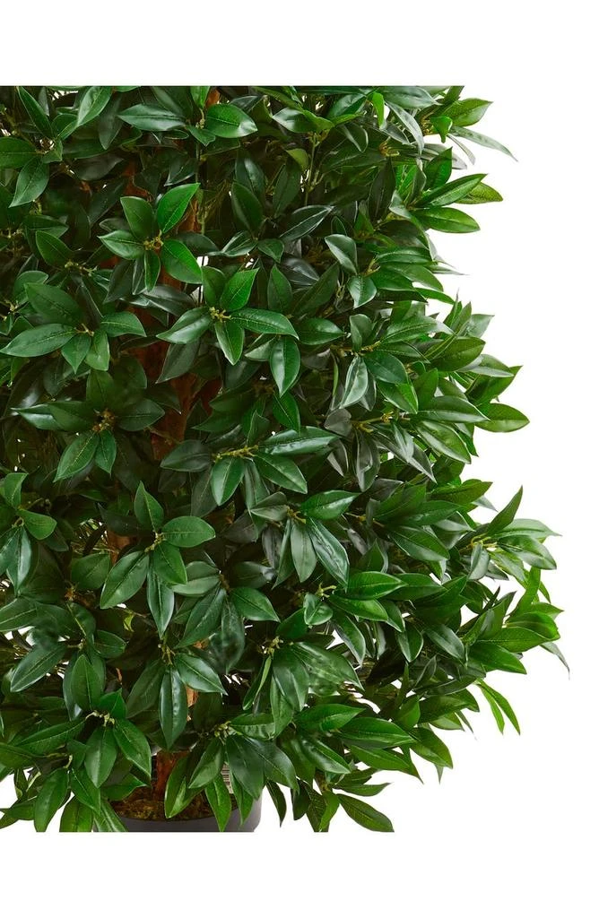 商品NEARLY NATURAL|Bay Leaf Cone Topiary 5ft. Artificial Plant,价格¥1952,第2张图片详细描述