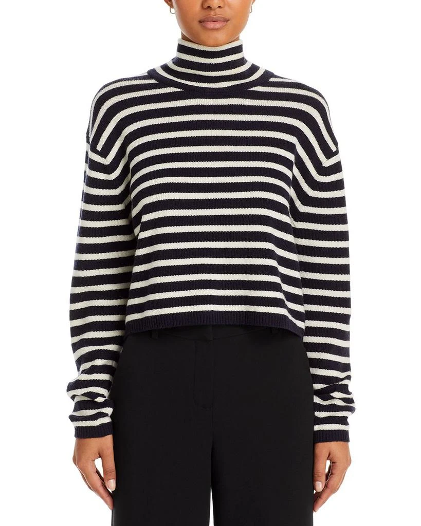 Striped Turtleneck Sweater 商品