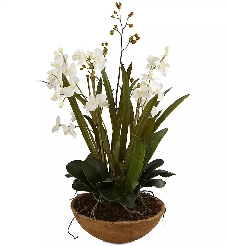 商品Uttermost|Moth Orchid Planter,价格¥3241,第1张图片