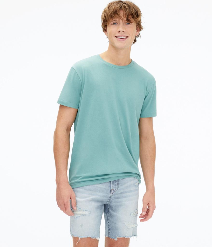 Aeropostale Men's Classic Crew Tee商品第8张图片规格展示