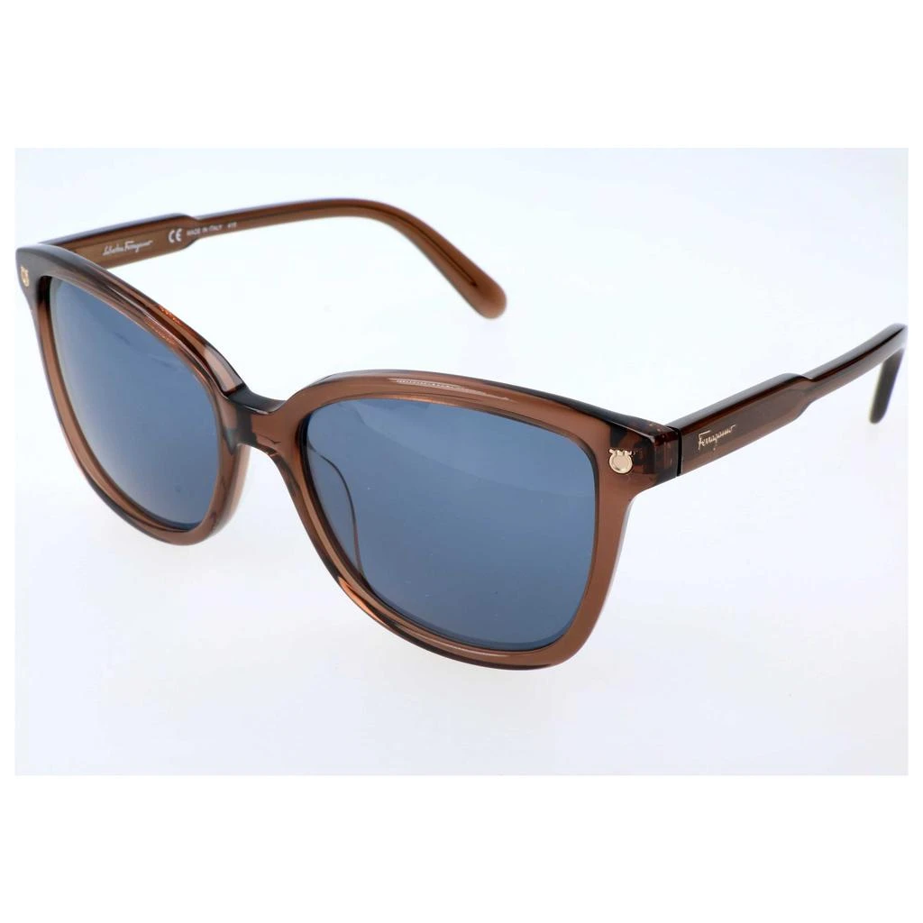 商品Salvatore Ferragamo|Ferragamo Women's Sunglasses SF815S-210,价格¥530,第1张图片