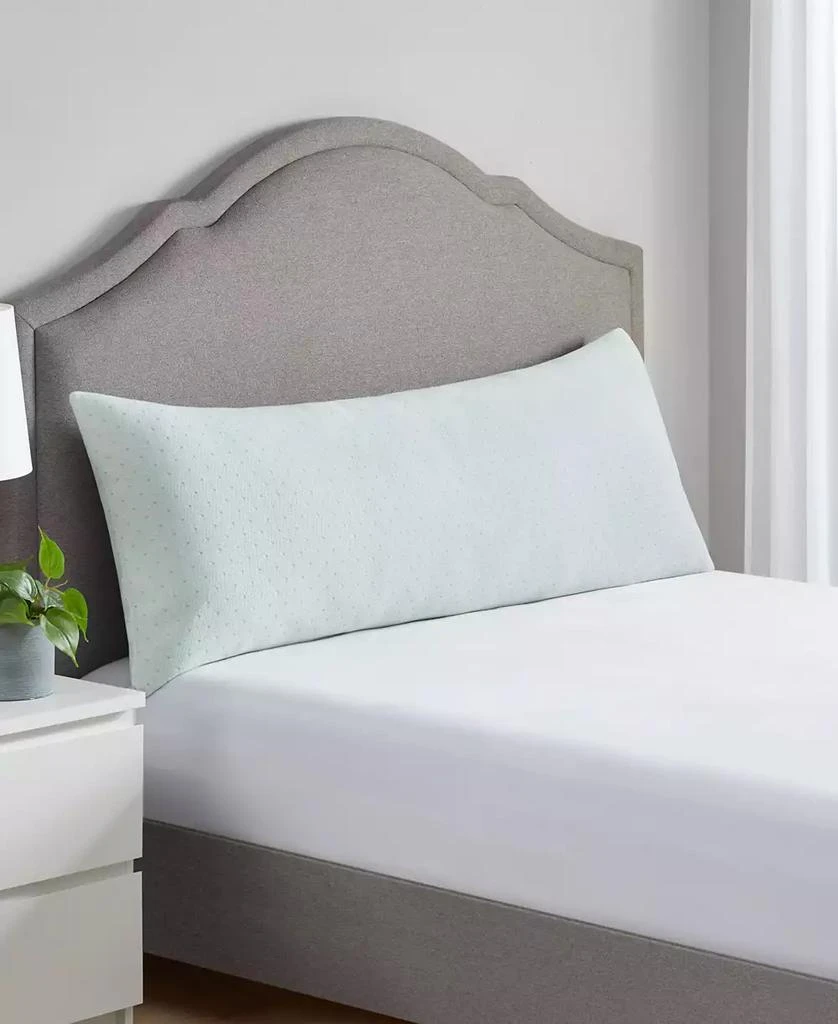 商品Sleep Philosophy|Rayon from Bamboo Shredded Memory Foam Pillow,价格¥512,第2张图片详细描述