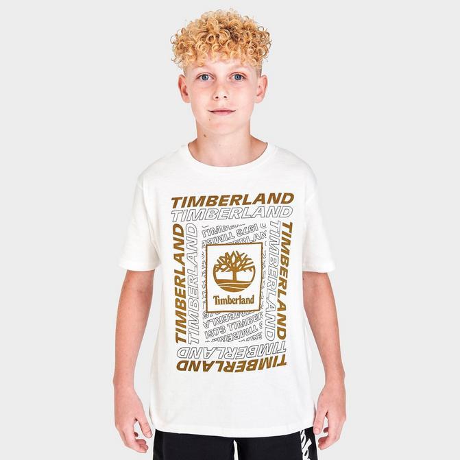 Boys' Timberland Multi Type Box Logo T-Shirt商品第1张图片规格展示