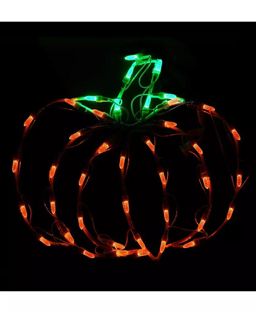 商品National Tree Company|14" Halloween Lighted Pumpkin Decoration,价格¥3098,第4张图片详细描述