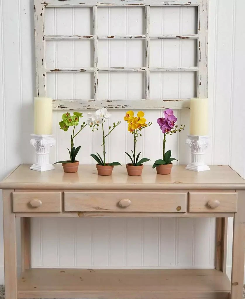 4-Pc. Phalaenopsis Orchid Set with Clay Vases 商品