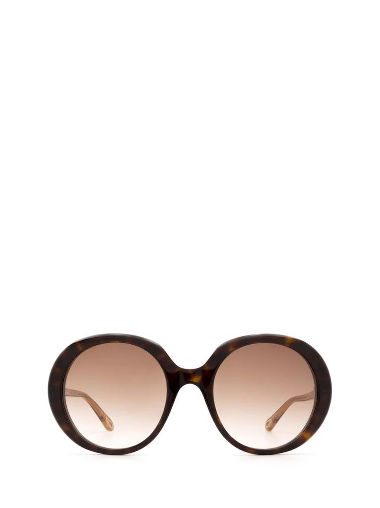 商品Chloé|Chloé CH0007S havana female sunglasses,价格¥1629,第1张图片