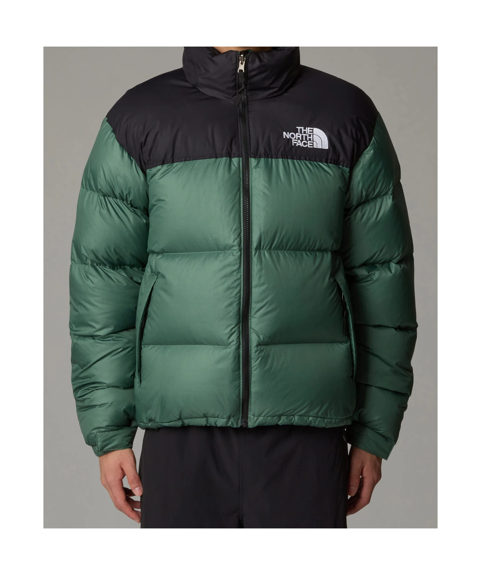 商品【商品预售7天】 The North Face|The North Face 男士羽绒服 NF0A3C8DLFW 绿色,价格¥2328,第5张图片详细描述