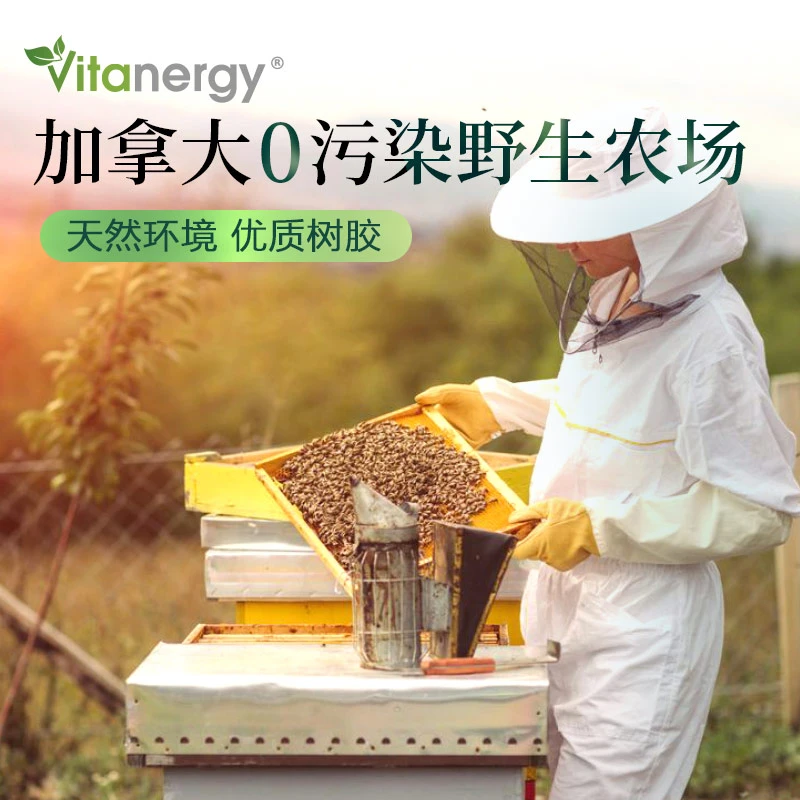  加拿大Vitanergy维生能蜂胶 食用蜂胶 蜂巢胶囊 调节免疫力免疫力 调经 美容90粒 | Bee Propolis【2024年6月有效期】 商品