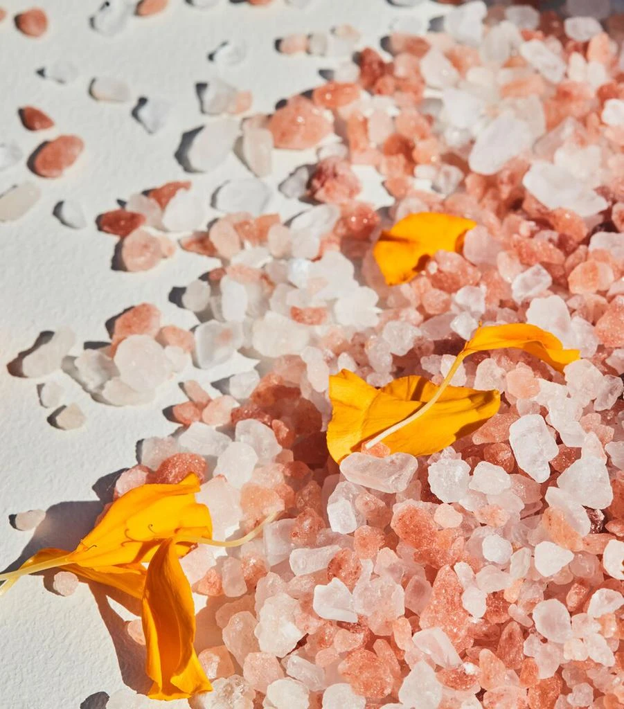 商品Mauli Rituals|Dharma Himalayan Salt Bath Soak (460g),价格¥545,第3张图片详细描述