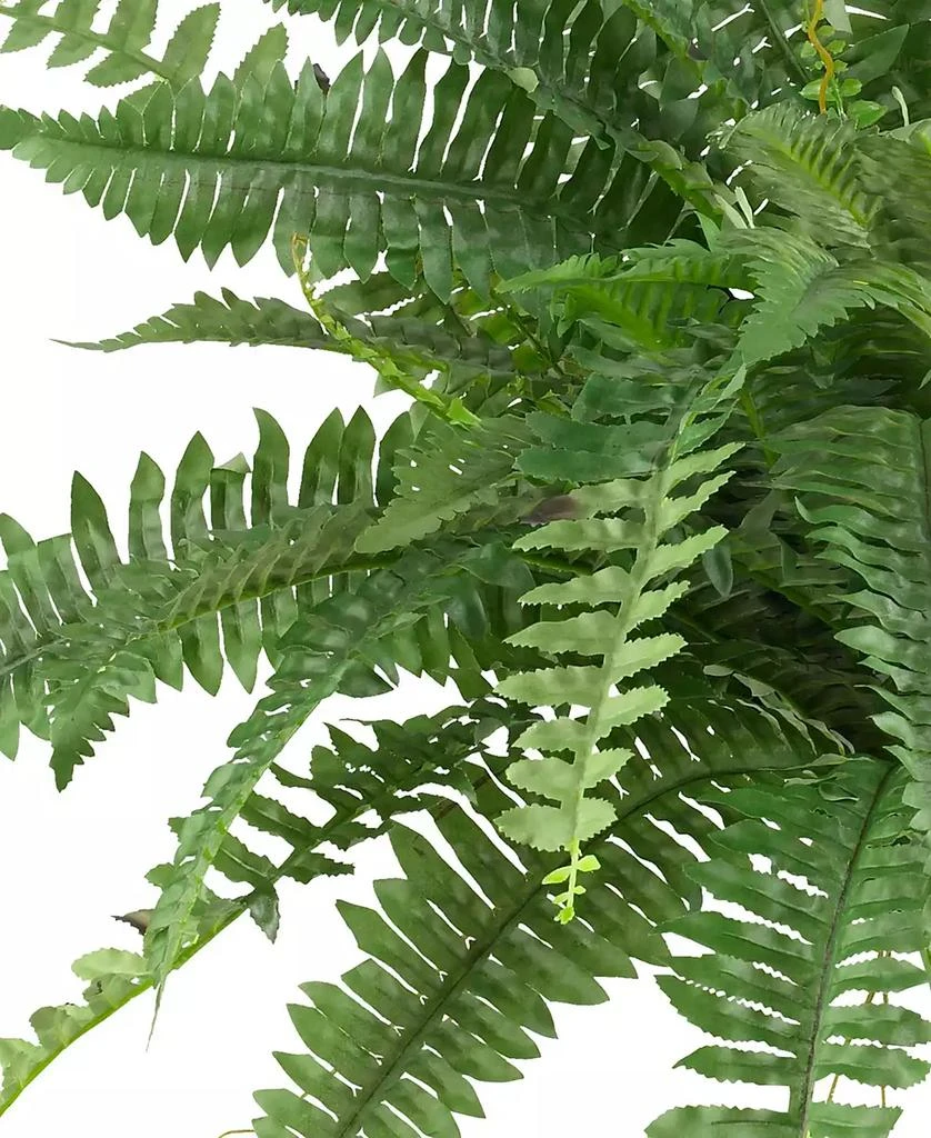 商品NEARLY NATURAL|40" Boston Fern, Set of 2,价格¥516,第2张图片详细描述