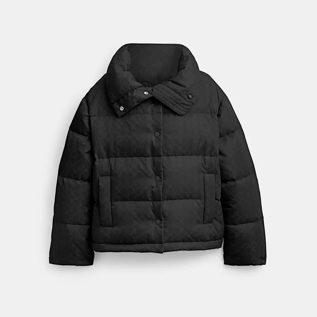 商品Coach|Signature Jacquard Short Puffer In Recycled Polyamide,价格¥2254,第3张图片详细描述